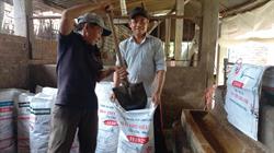Eco-friendly Pigsties – An Effective and Sustainable Farming Solution