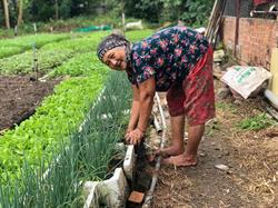 TRUNG TÂM THIỆN CHÍ – ĐIỂM TỰA VỐN VAY TÍN DỤNG NHỎ CHO HỘ DÂN KHÓ KHĂN