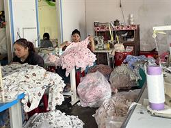 Cows, chicken, pigs and clothes