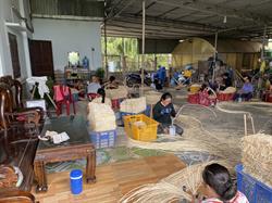 Thien Chi's Employment Creation Program