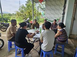 PHỤC HỒI VƯỜN THANH LONG SAU LŨ LỤT